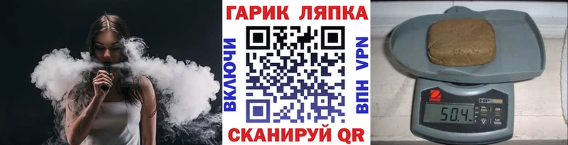 ГАШ Premium  Суджа 