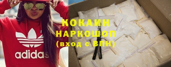 амф Верхний Тагил