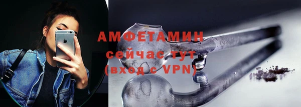 прущие грибы Волосово