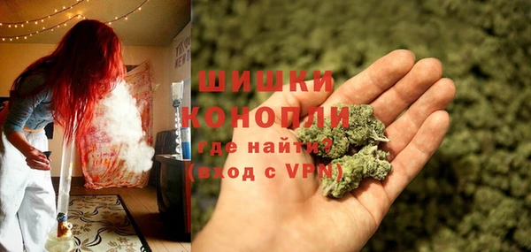 прущие грибы Волосово