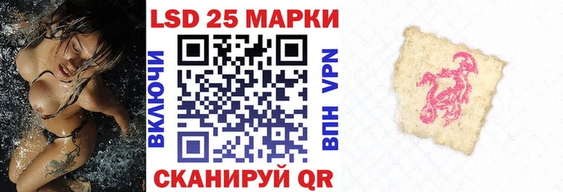 блэк спрут как войти  Суджа  Марки 25I-NBOMe 1,8мг 