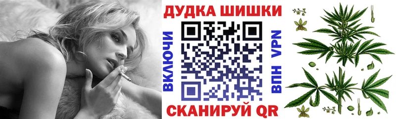 MEGA вход  где найти наркотики  Суджа  Канабис план 